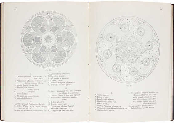 Кичунов Н.И. Цветники и партеры. Устройство ковровых клумб, рабаток, арабесок, цветочных и лиственных групп. СПб.: Изд. А.Ф. Девриена, 1904.